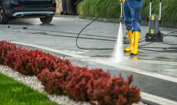 Best Driveway Pressure Washing  in Kane, PA