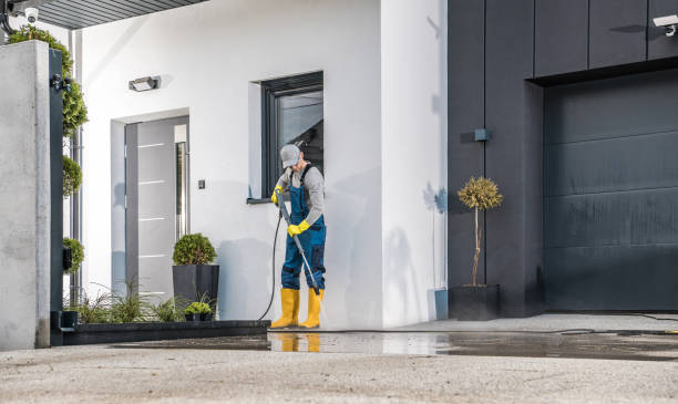 Best Roof Washing  in Kane, PA